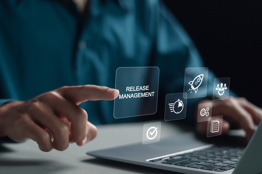 제품 다양성 관리(Product Variability Management)